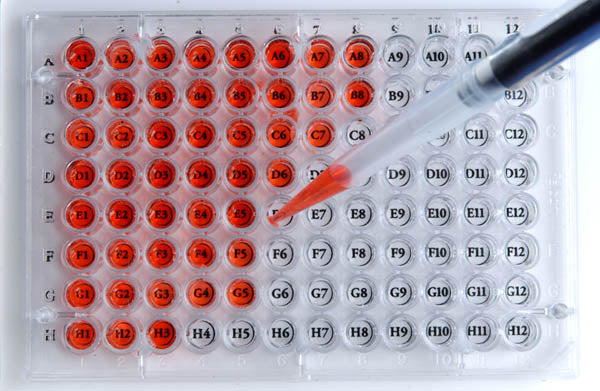 96 Well Plate Well Orienter